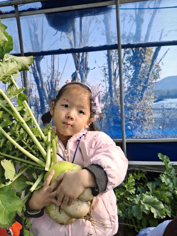 2025년 11월 상록수어린이집 무 수확체험